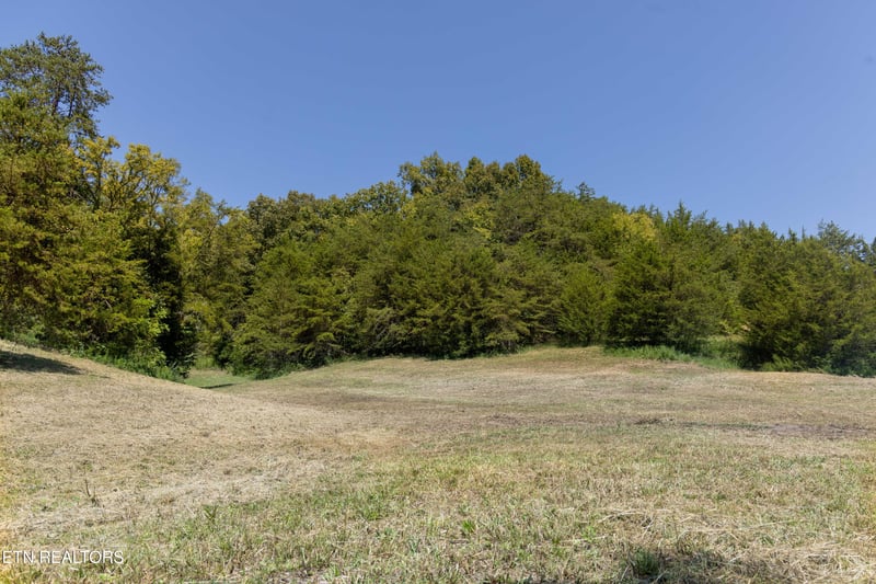 Lot 3 N Knob Creek Rd, Seymour, TN 37865