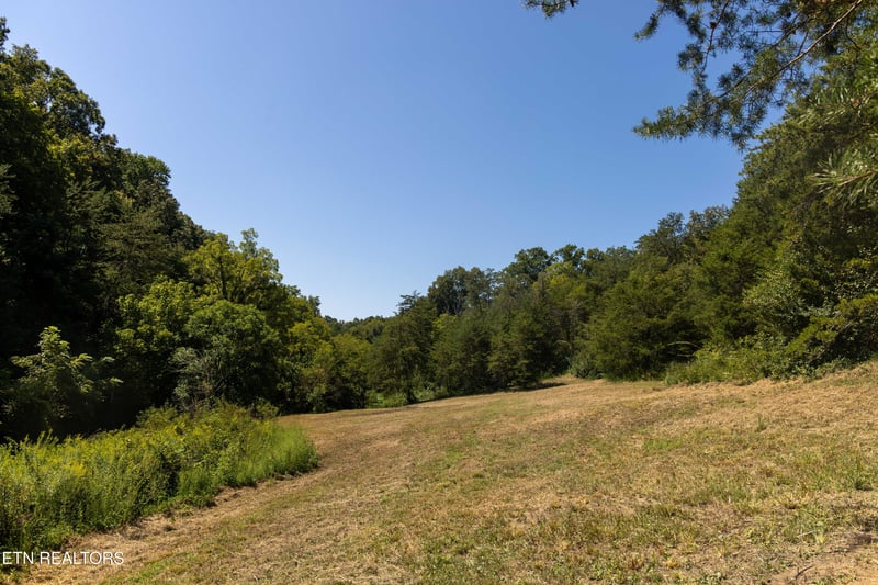 Lot 3 N Knob Creek Rd, Seymour, TN 37865
