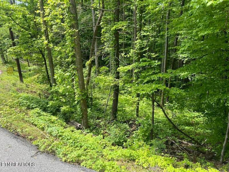 Lot 3 Old Cartertown Rd, Gatlinburg, TN 37738