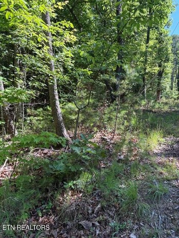 Lot 3 Old Furnace Rd, Tellico Plains, TN 37385