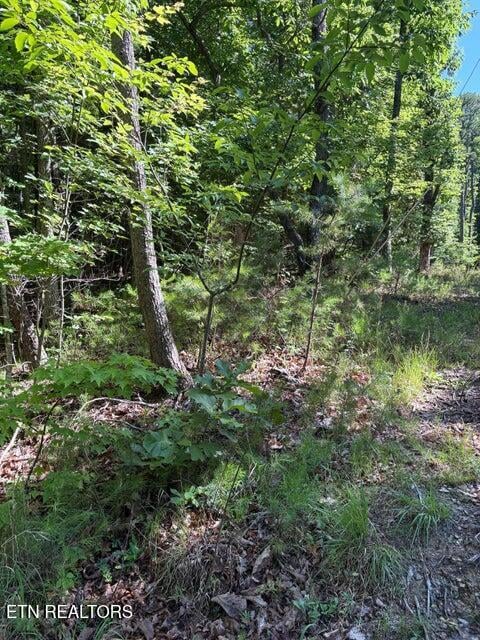 Lot 3 Old Furnace Rd, Tellico Plains, TN 37385