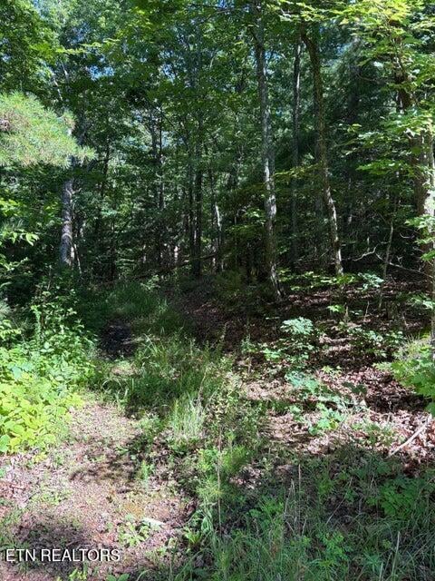 Lot 3 Old Furnace Rd, Tellico Plains, TN 37385