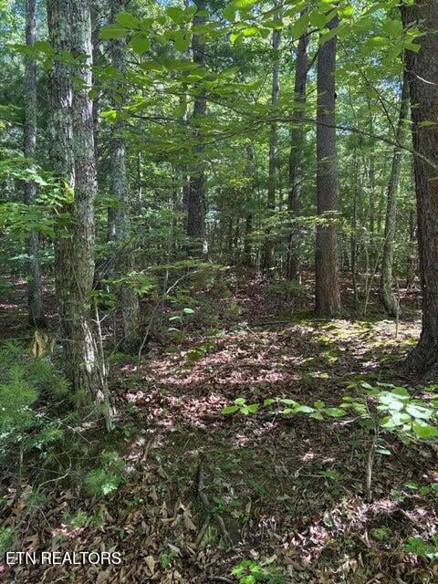 Lot 3 Old Furnace Rd, Tellico Plains, TN 37385
