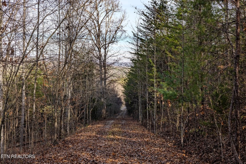 Lot 3 Stonehinge Unicoi Church Rd, Tellico Plains, TN 37385