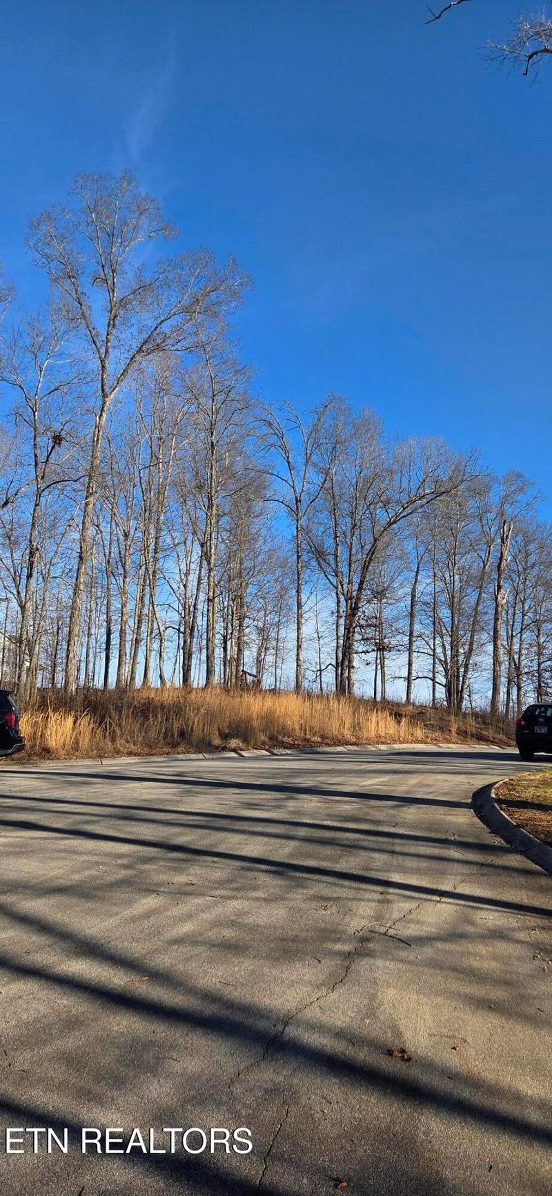 Lot 3 Sugar Maple Ct, Madisonville, TN 37354