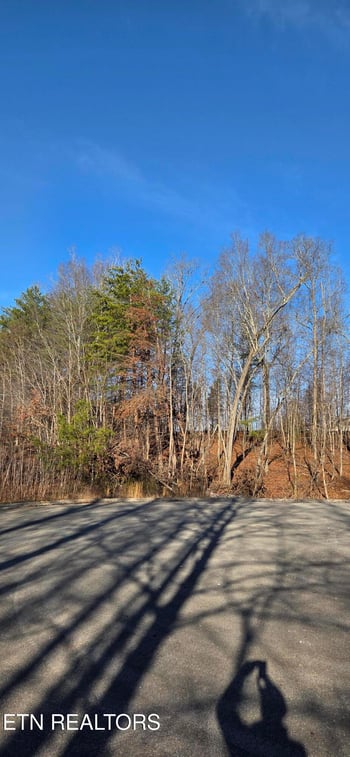 Lot 3 Sugar Maple Ct, Madisonville, TN 37354