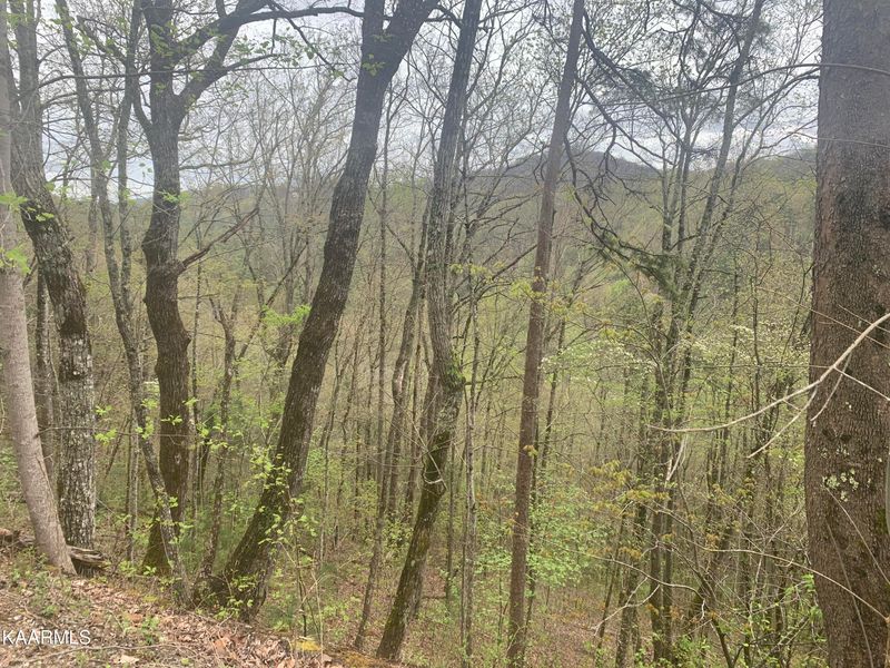 Lot 3 Sunset Rd, Sevierville, TN 37862
