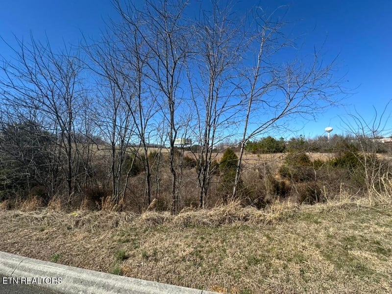 Lot 3 Winfield Dunn Pkwy, Kodak, TN 37764