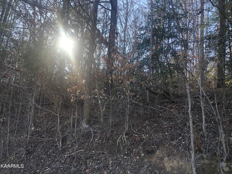 Lot 30-31 Alpine Dr, Sevierville, TN 37876