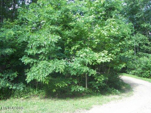 Lot 30 Butternut Ln, Sevierville, TN 37876