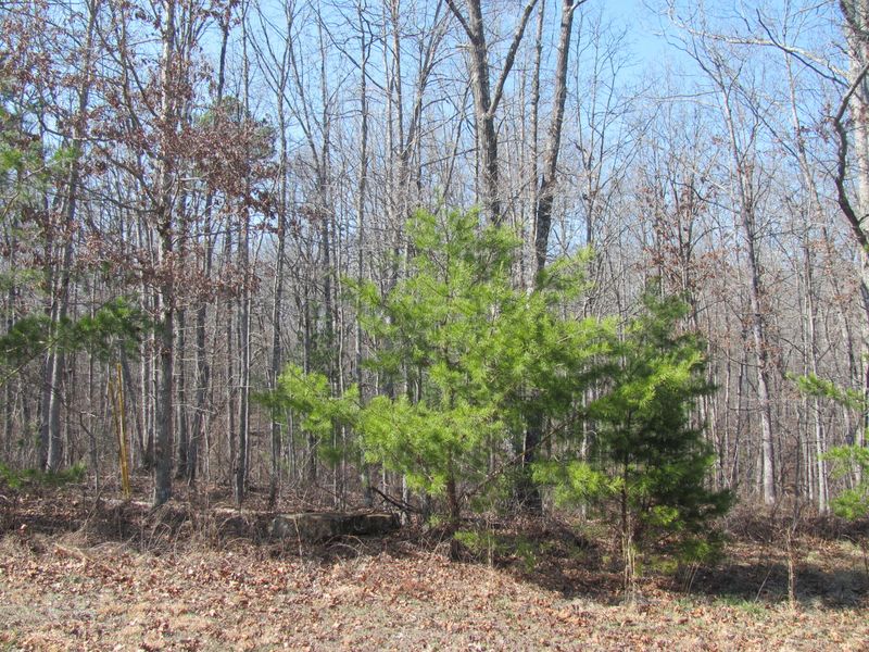 Lot 30 Lytham Way, Fairfield Glade, TN 38558