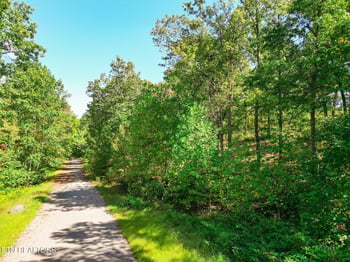 Lot 30 Mt Clouds Tr, Duff, TN 37729