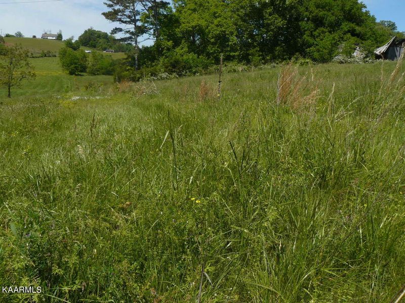 Lot 302 Howell River Rd, Rutledge, TN 37861