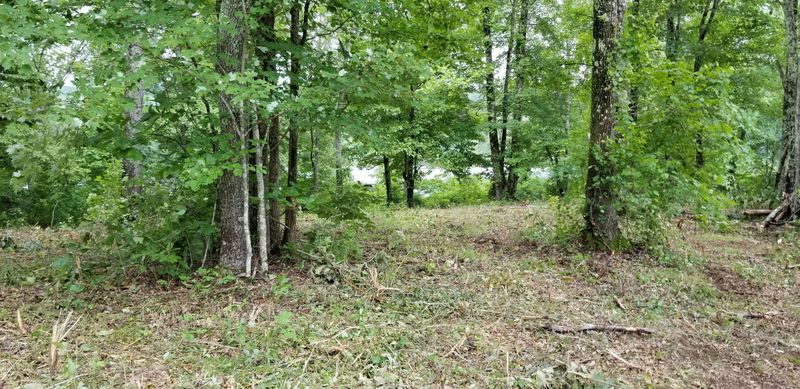 Lot 31 Emory Cove Dr, Harriman, TN 37748