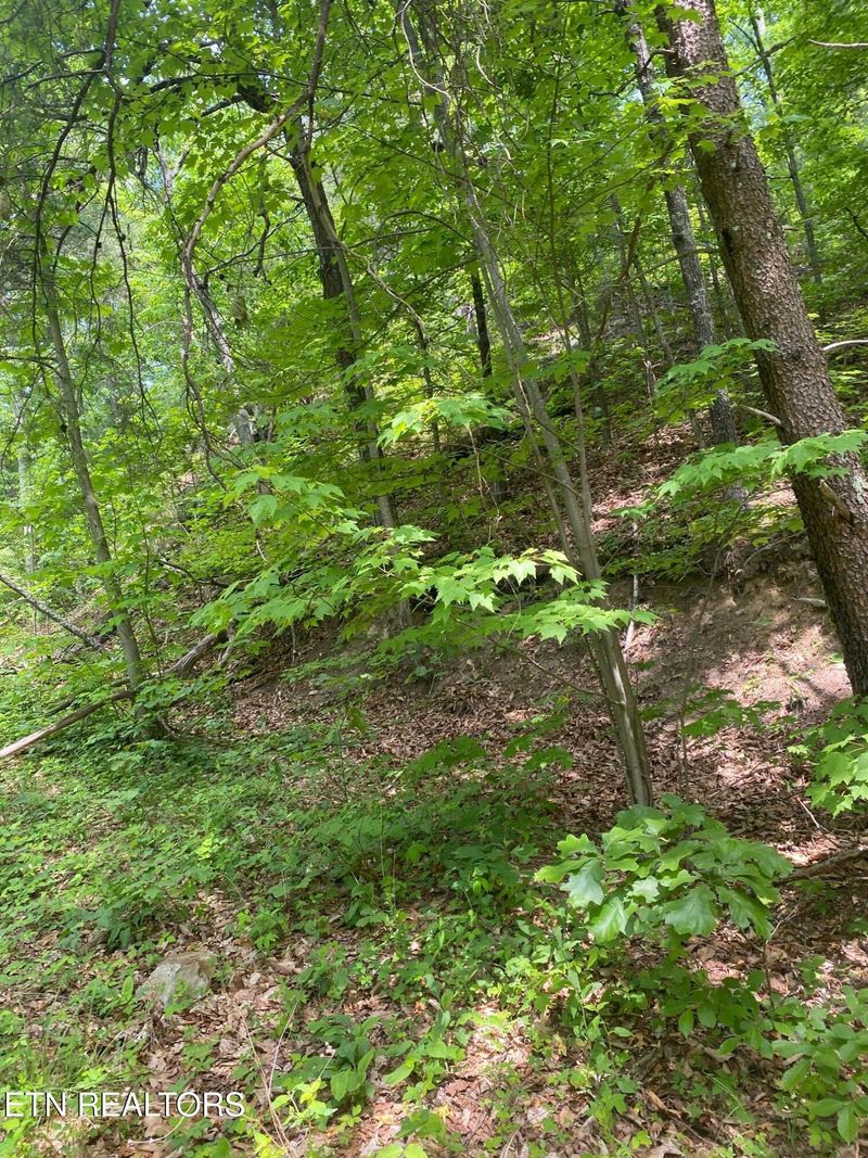 Lot 31 High St, Sevierville, TN 37876