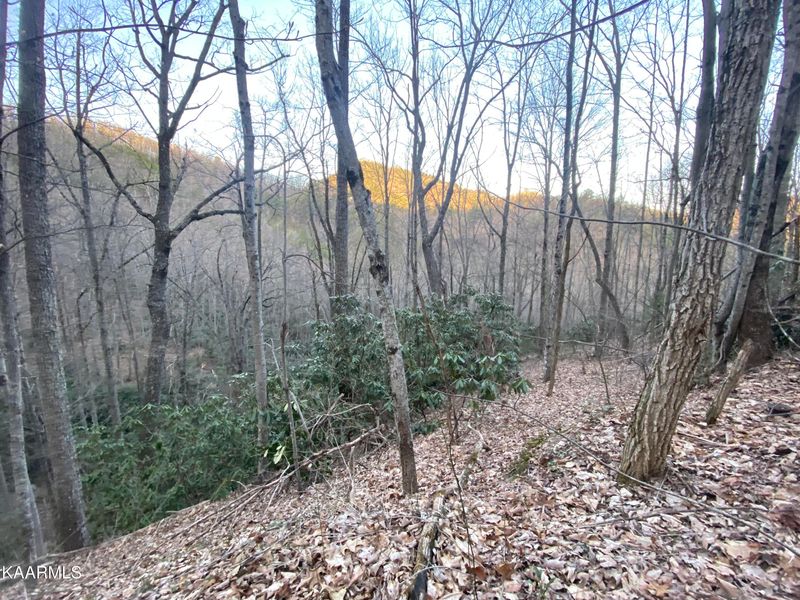 Lot 32 Beechwood St, Sevierville, TN 37876