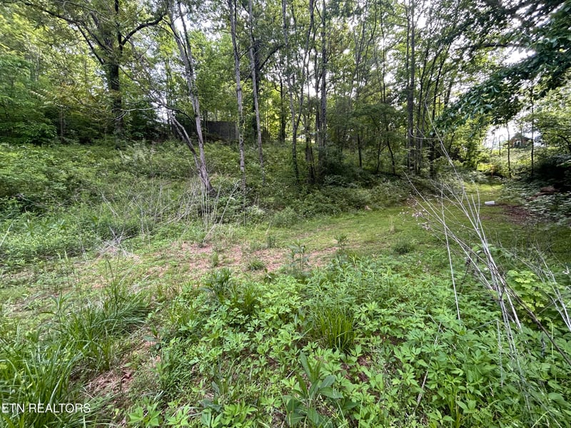 Lot 32 Ernie Roberts Rd, Rutledge, TN 37861