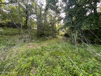 Lot 32 Ernie Roberts Rd, Rutledge, TN 37861