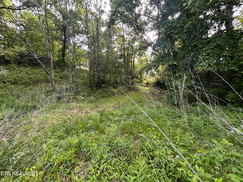 Lot 32 Ernie Roberts Rd, Rutledge, TN 37861