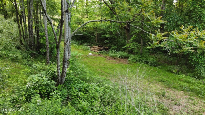 Lot 32 Ernie Roberts Rd, Rutledge, TN 37861