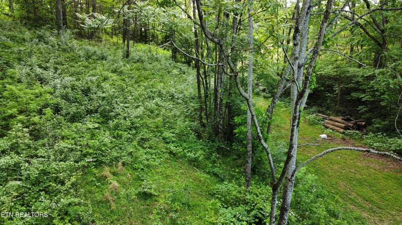 Lot 32 Ernie Roberts Rd, Rutledge, TN 37861