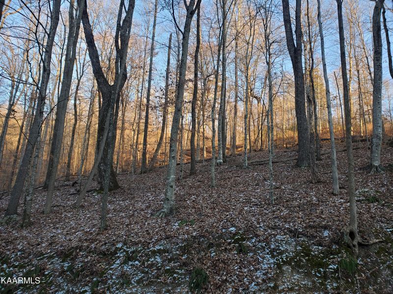 Lot 32 Hickory Star Rd, Maynardville, TN 37807