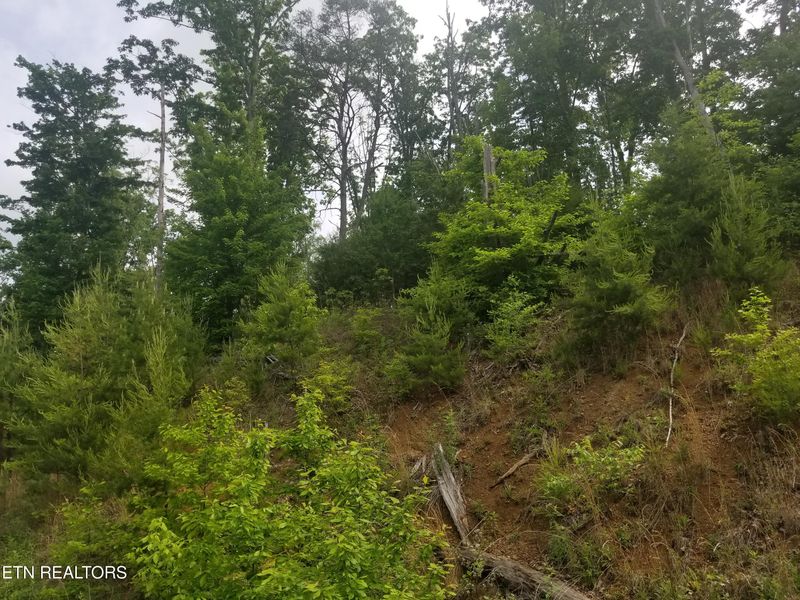 Lot 33 Bayside Blvd, Bean Station, TN 37708