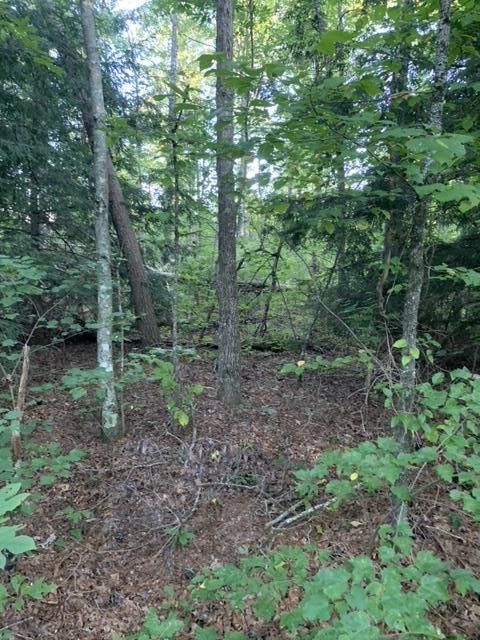 Lot 33 Lake Shore Dr, Monterey, TN 38574