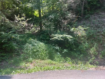 Lot 331 Ridgefield Dr, Sevierville, TN 37876