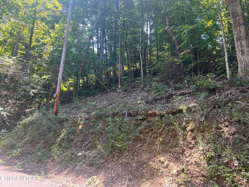 Lot 331 Ridgefield Dr, Sevierville, TN 37876