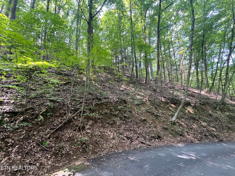Lot 334 Ridgefield Dr, Sevierville, TN 37876