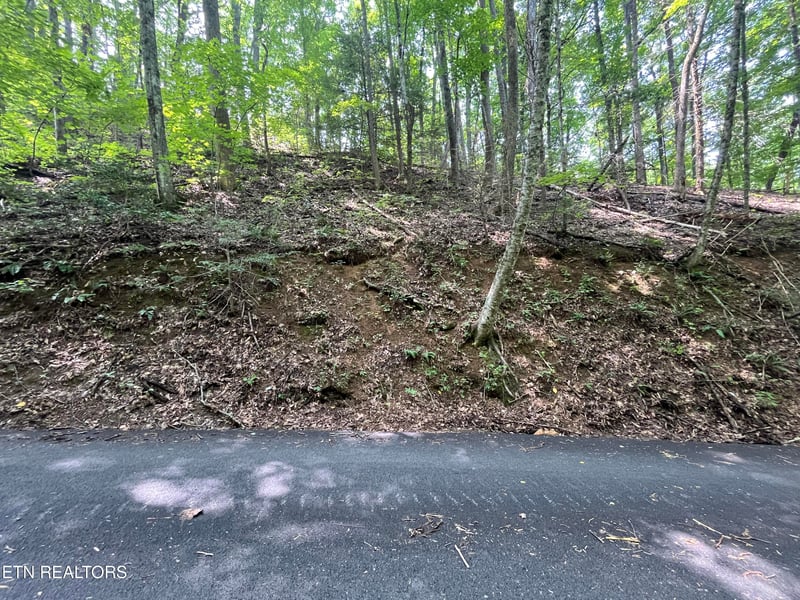 Lot 334 Ridgefield Dr, Sevierville, TN 37876