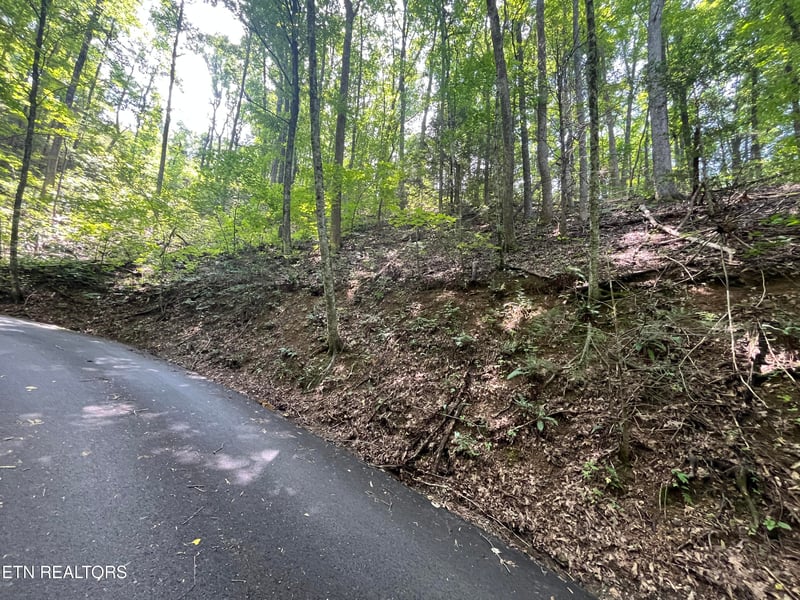Lot 334 Ridgefield Dr, Sevierville, TN 37876