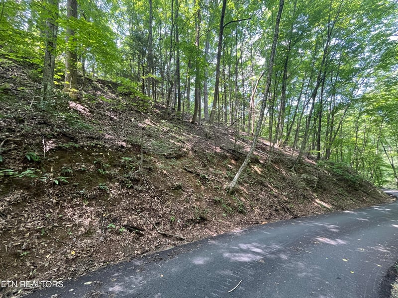 Lot 334 Ridgefield Dr, Sevierville, TN 37876