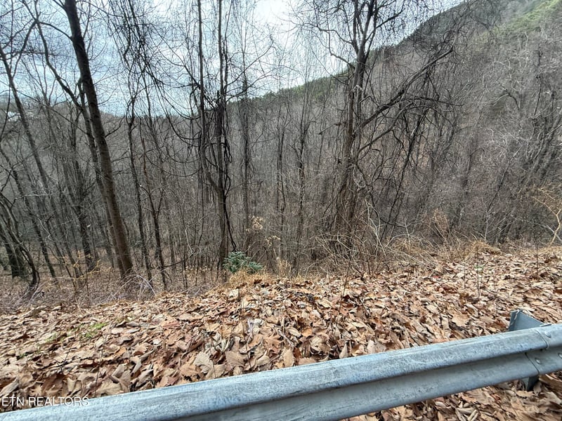 Lot 34 Alpine Dr, Sevierville, TN 37876