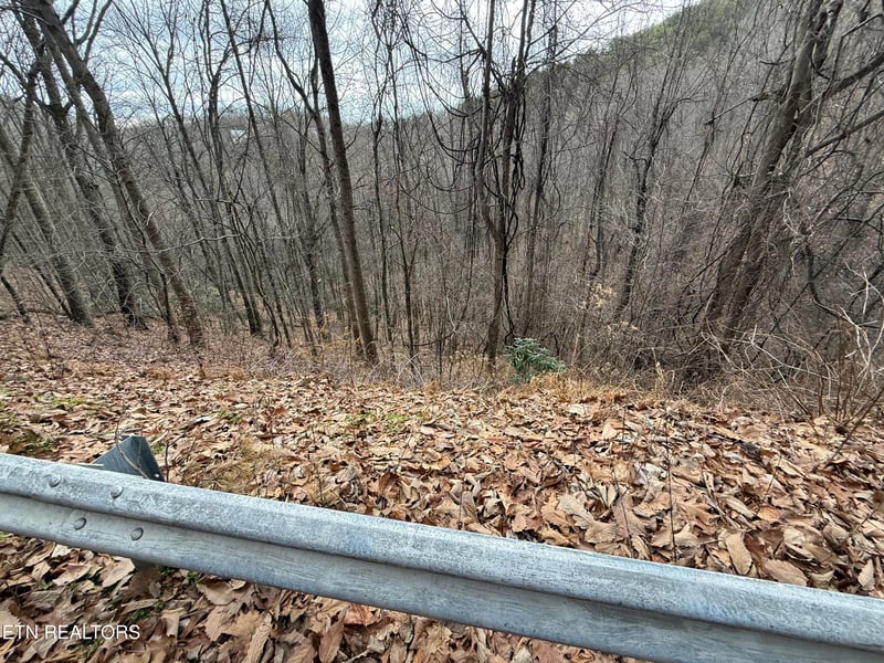 Lot 34 Alpine Dr, Sevierville, TN 37876