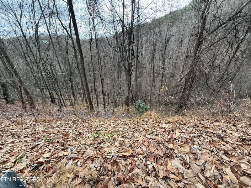 Lot 34 Alpine Dr, Sevierville, TN 37876