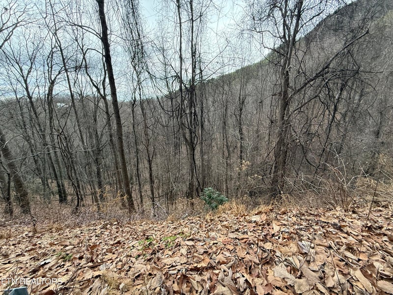 Lot 34 Alpine Dr, Sevierville, TN 37876