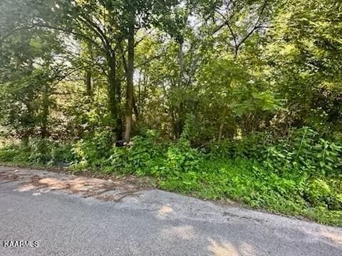 Lot 34 Willow Dr, Kingston, TN 37763
