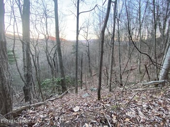 Lot 35 Elderberry Dr, Sevierville, TN 37876