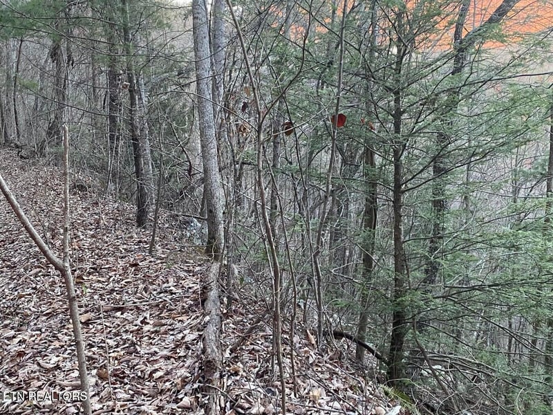 Lot 35 Elderberry Dr, Sevierville, TN 37876