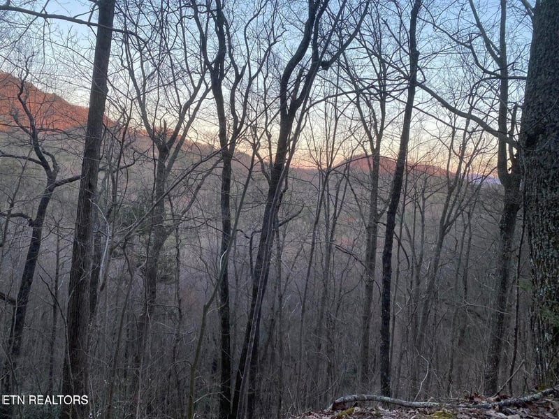 Lot 35 Elderberry Dr, Sevierville, TN 37876