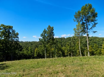 Lot 35 Graystone Shoals, Morristown, TN 37814