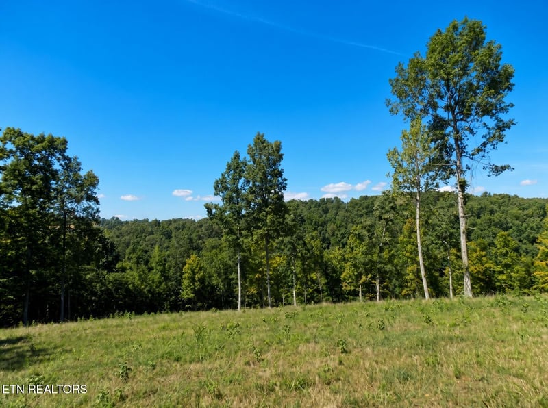 Lot 35 Graystone Shoals, Morristown, TN 37814