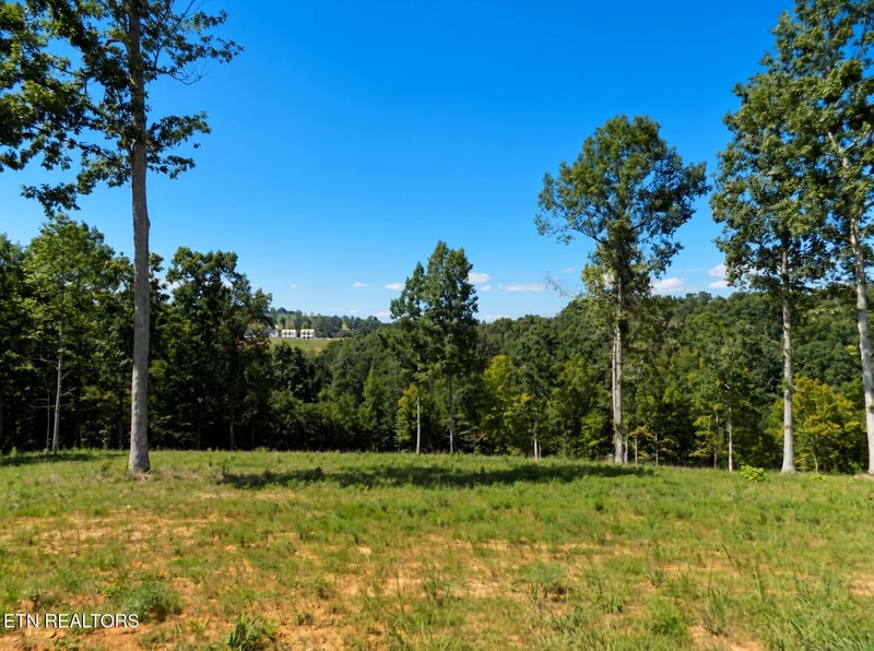 Lot 35 Graystone Shoals, Morristown, TN 37814