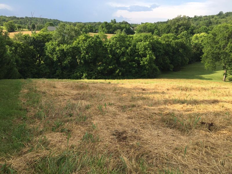 Lot 35 Marble Bluff Dr, Kingston, TN 37763