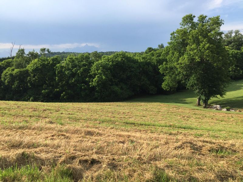 Lot 35 Marble Bluff Dr, Kingston, TN 37763