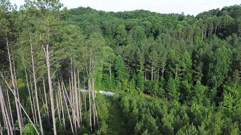 Lot 35 Winding Tr, Vonore, TN 37885