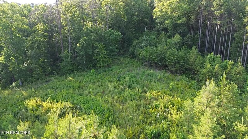 Lot 35 Winding Tr, Vonore, TN 37885
