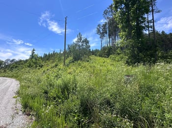 Lot 35 Winding Tr, Vonore, TN 37885